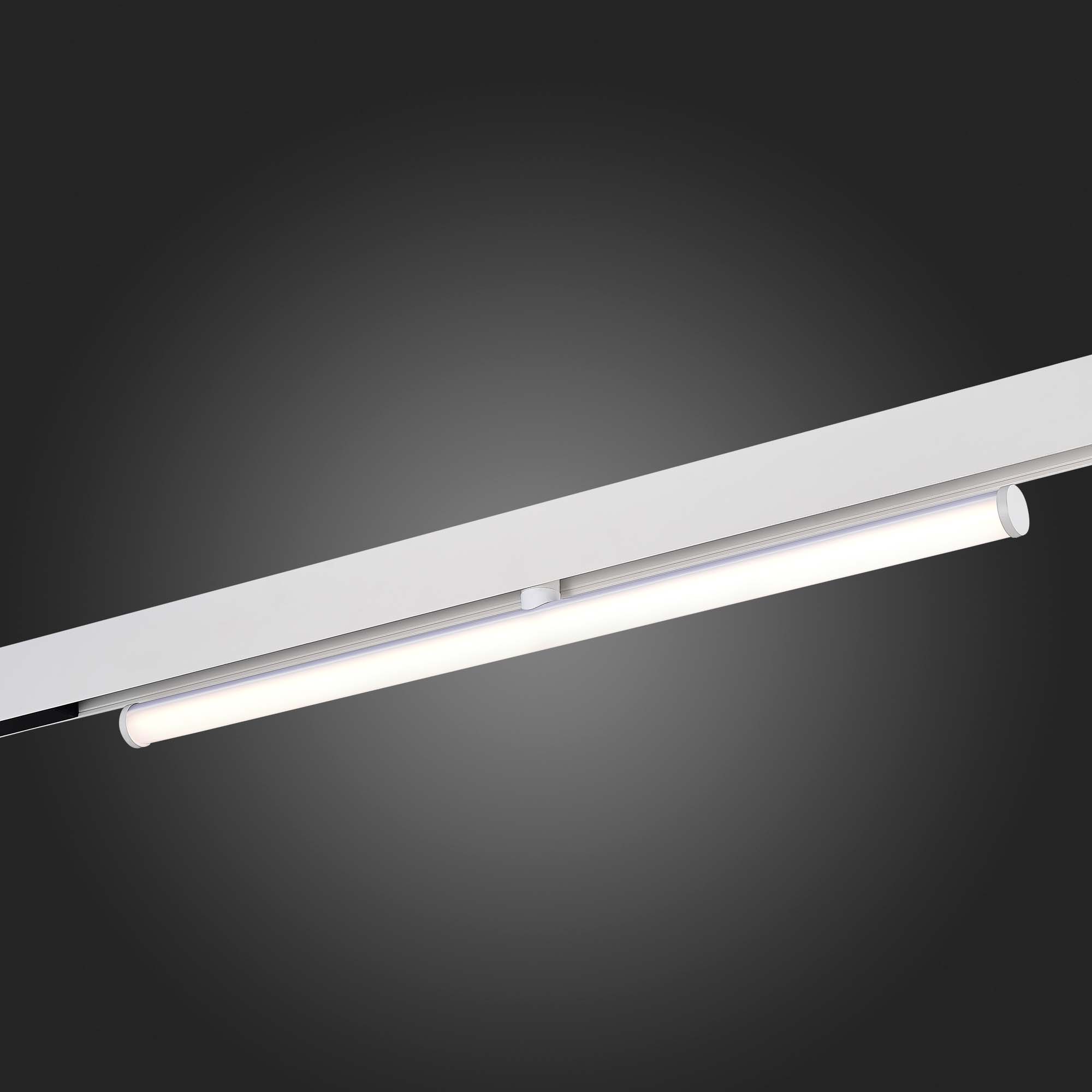 ST803.546.10 Магнитный трековый светильник Белый LED 1*10W 4000K 1 200Lm Ra>90 120° IP20 L604xW28xH8 SKYLINE 48