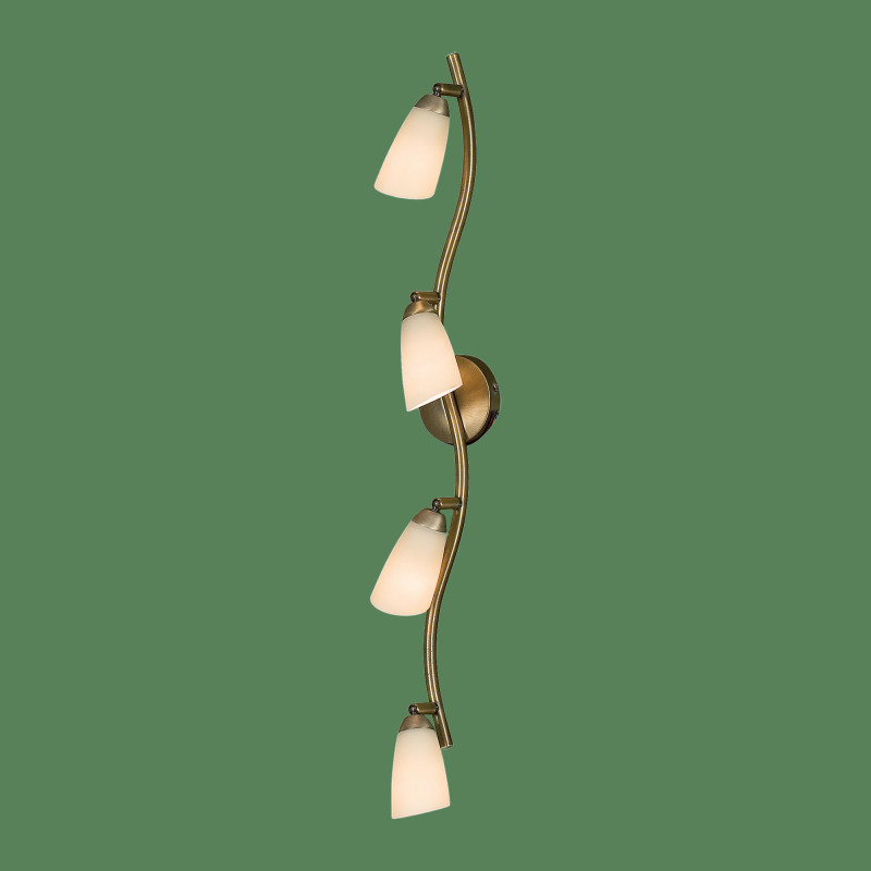 Спот Citilux CL501543