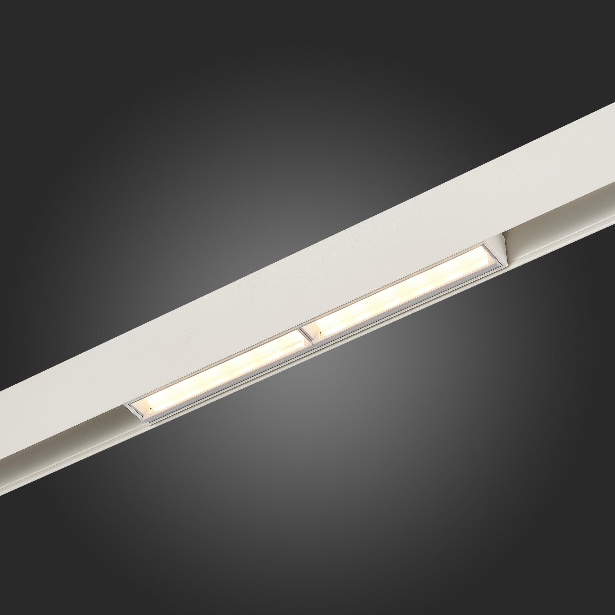 ST804.536.12 Магнитный трековый светильник Белый LED 1*12W 3000K 850Lm Ra>90 120° IP20 L220xW22xH46 SKYLINE 48