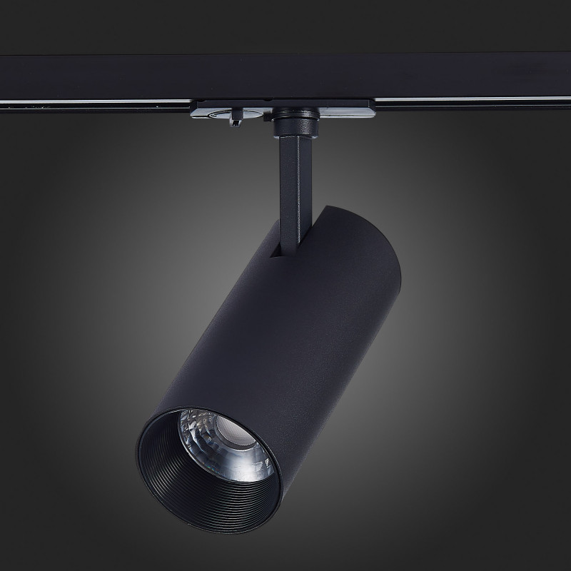 Светильник на шине ST-Luce ST350.446.20.24