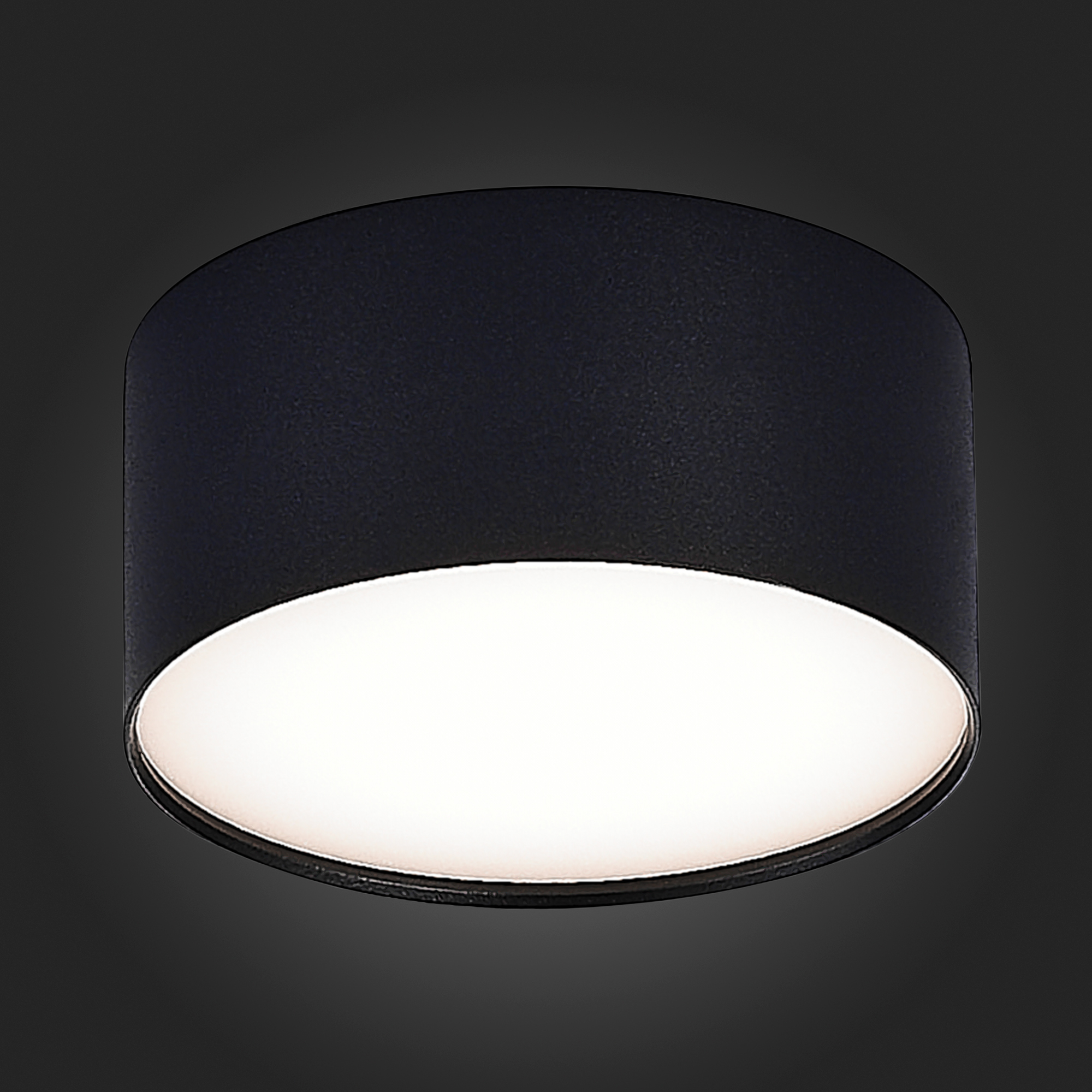 ST606.442.12 Светильник потолочный Черный LED 1*12W 4000K 1 080Lm Ra>90 120° IP20 D120xH55 185-265V Накладные светильники