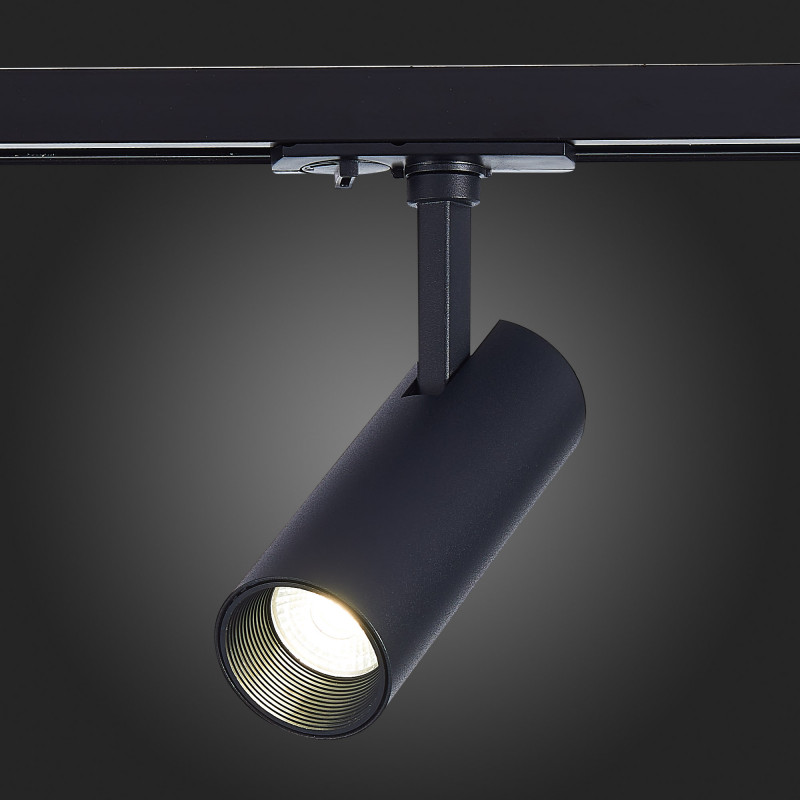 Светильник на шине ST-Luce ST350.446.10.24