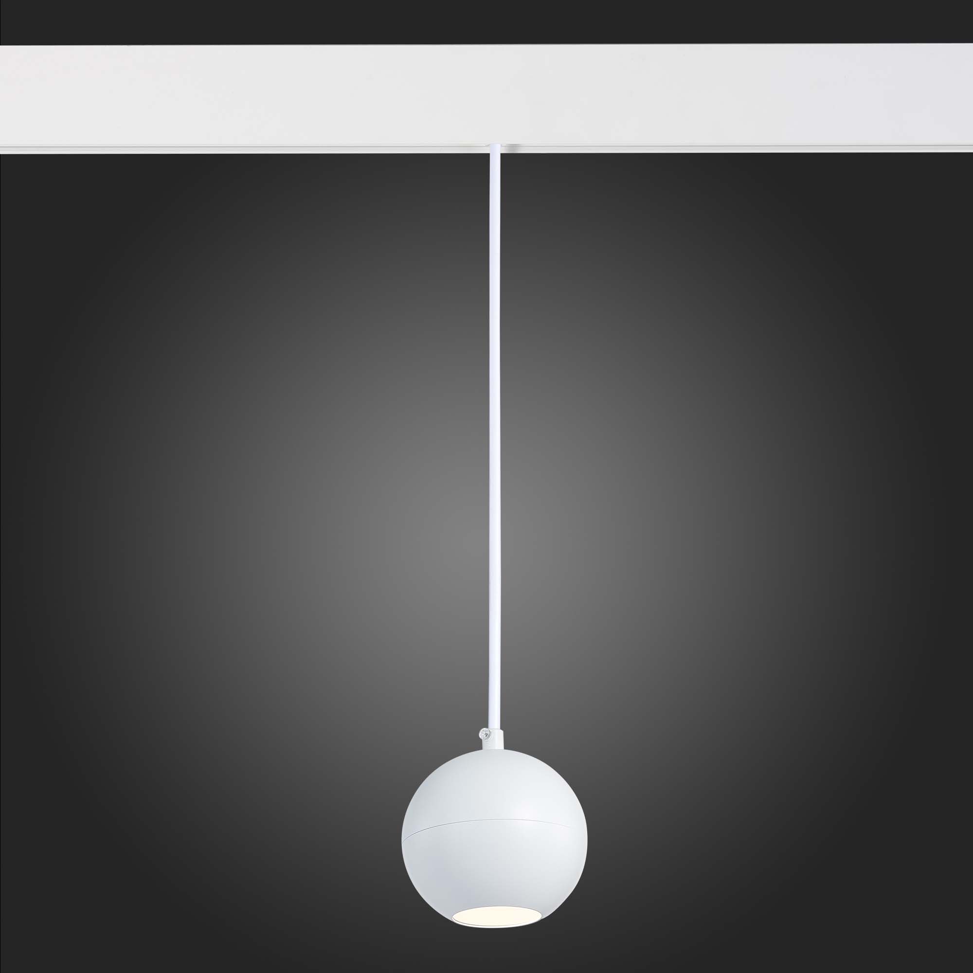 ST354.543.12 Магнитный трековый светильник подвесной Белый LED 1*12W 4000K 750Lm Ra>80 36° IP20 D100 SKYLINE 48