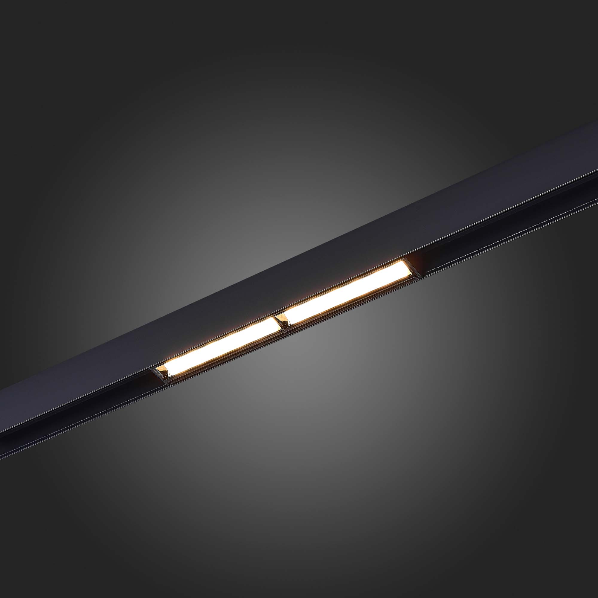 ST804.436.12 Магнитный трековый светильник Черный LED 1*12W 3000K 700Lm Ra>90 120° IP20 L220xW22xH46 SKYLINE 48