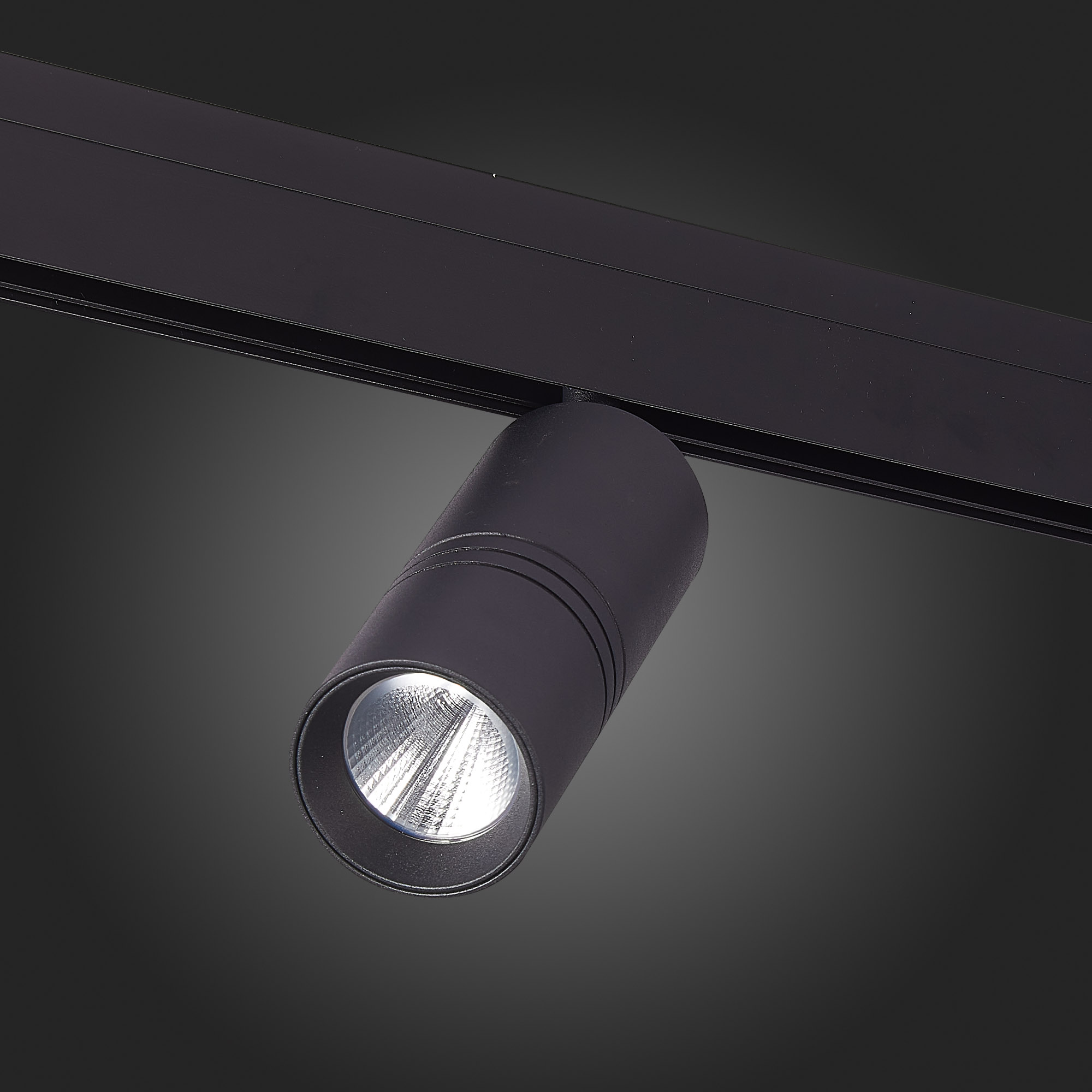 ST365.436.18 Магнитный трековый светильник Черный LED 1*18W 3000K 1 530Lm Ra>90 36° IP20 L-xW60xH148 SKYLINE 48