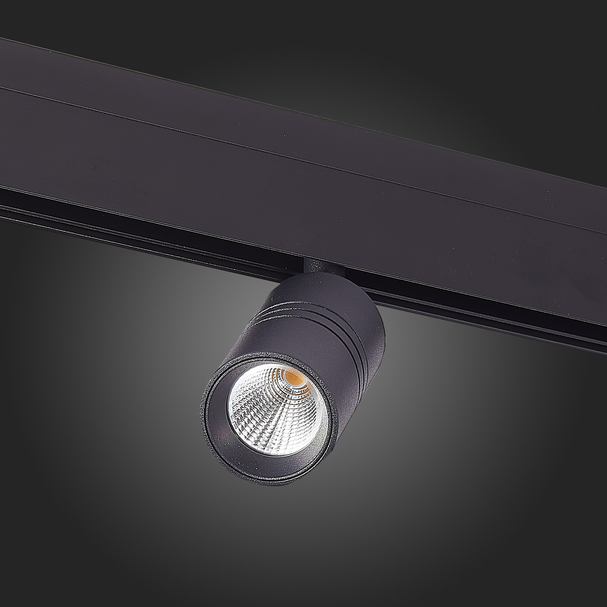 ST365.446.07 Магнитный трековый светильник Черный LED 1*7W 4000K 595Lm Ra>90 36° IP20 D44xH90 48V SKYLINE 48