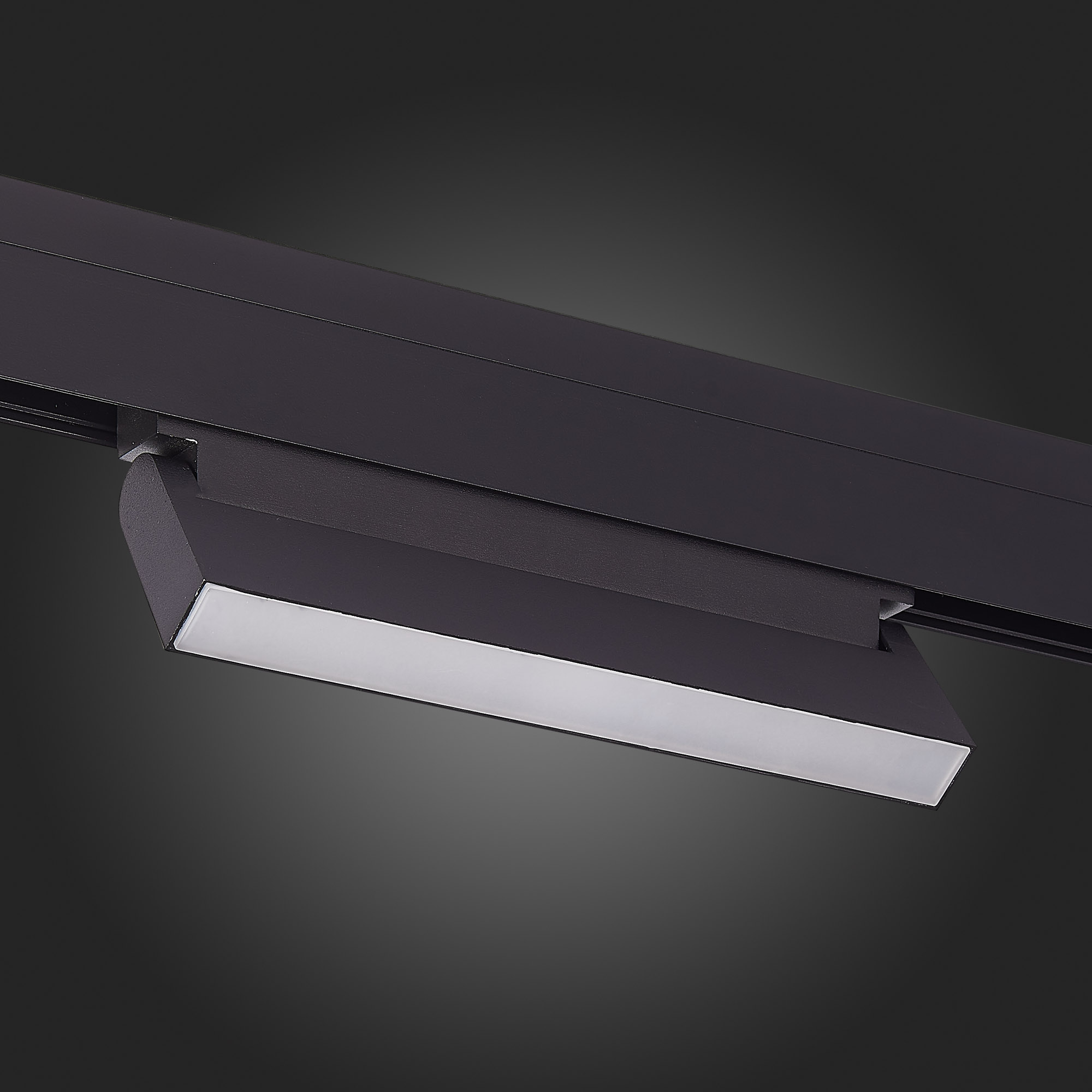 ST363.446.12_DIM Магнитный трековый светильник Черный LED 1*12W 4000K 720Lm Ra>90 120 IP20 L219xW22x SKYLINE 48