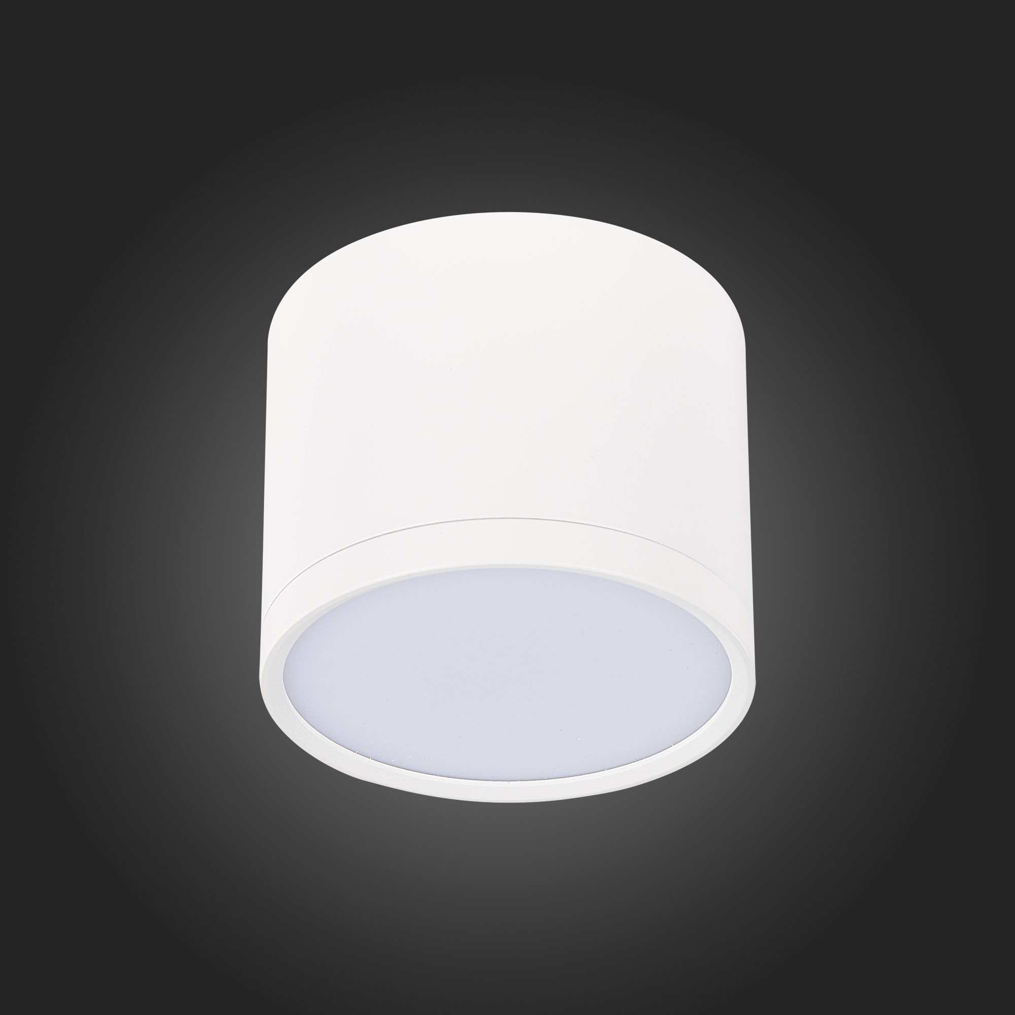 ST113.542.09 Светильник потолочный Белый LED 1*9W 4000K 702Lm Ra>90 120° IP20 D88xH75 170-240V Накладные светильники