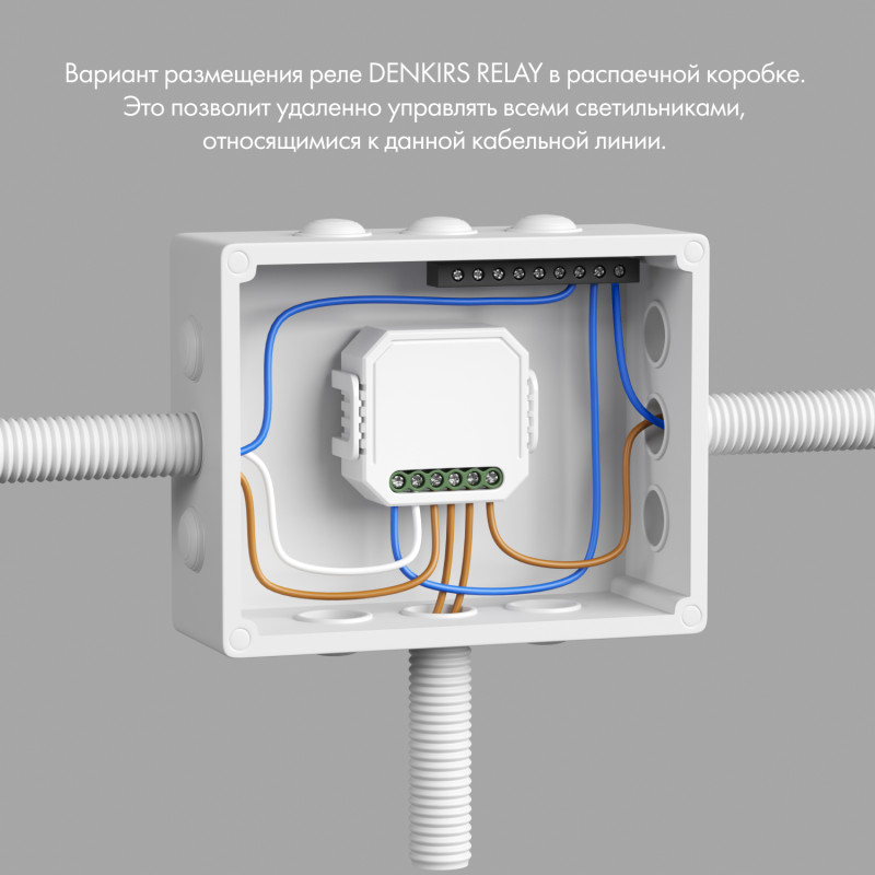 Wi-Fi реле Denkirs RL1001-SM/1