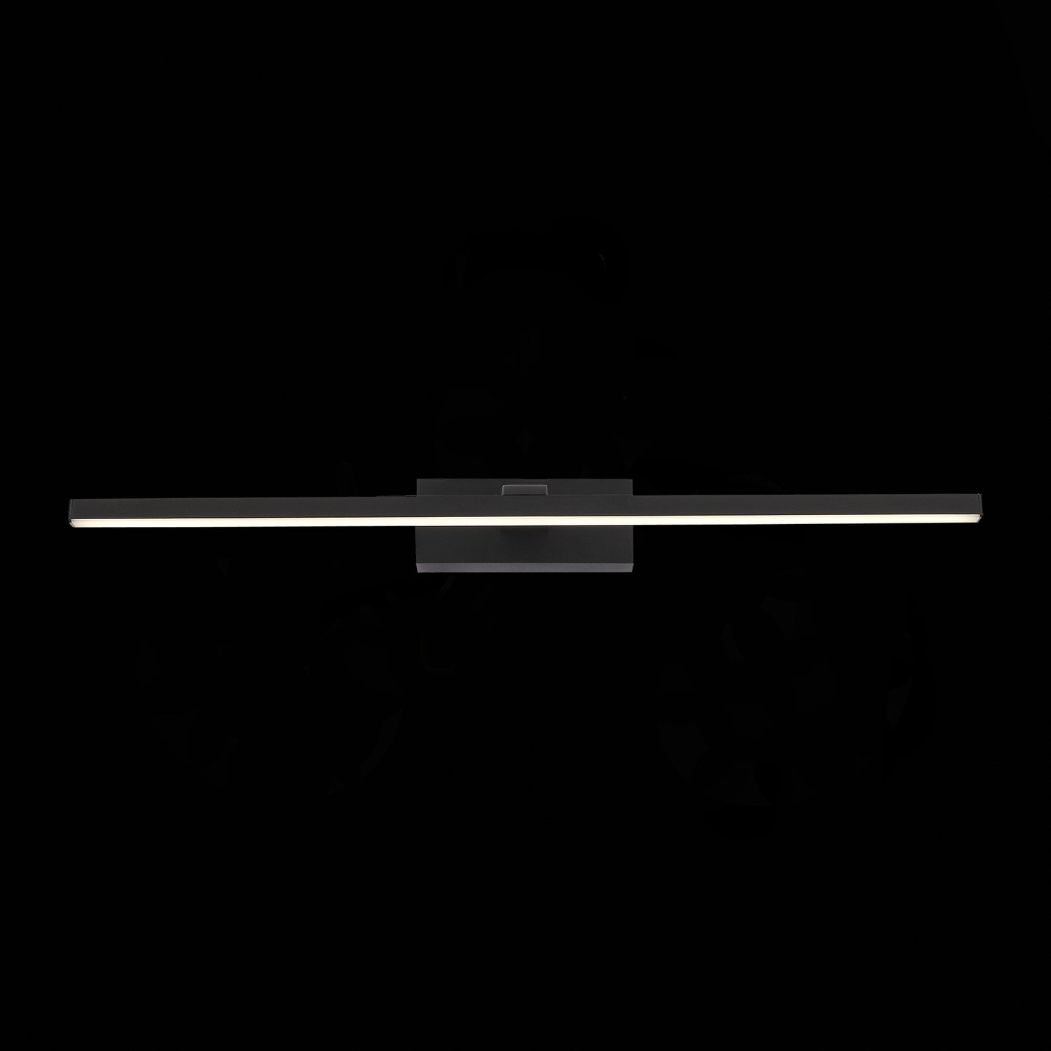 SL446.401.01 Подсветка для картин ST-Luce Черный/Черный LED 1*12W 4000K Настенные светильники