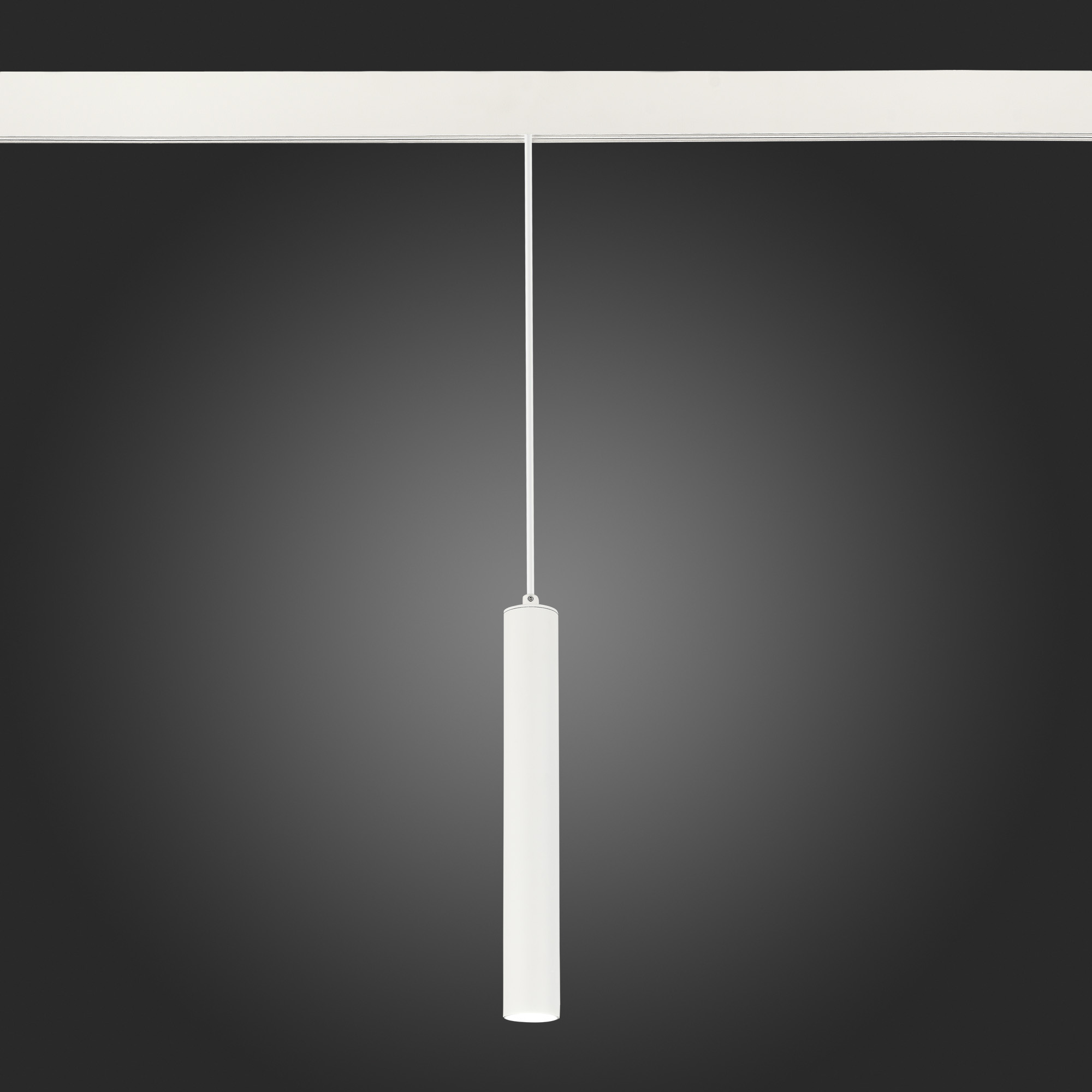 ST377.503.07 Магнитный трековый светильник SMART Белый LED 1*7W 2700K-6500K 630Lm Ra90 36° IP20 D40x SKYLINE 48