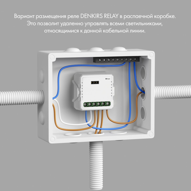 Wi-Fi реле Denkirs RL1001-SM