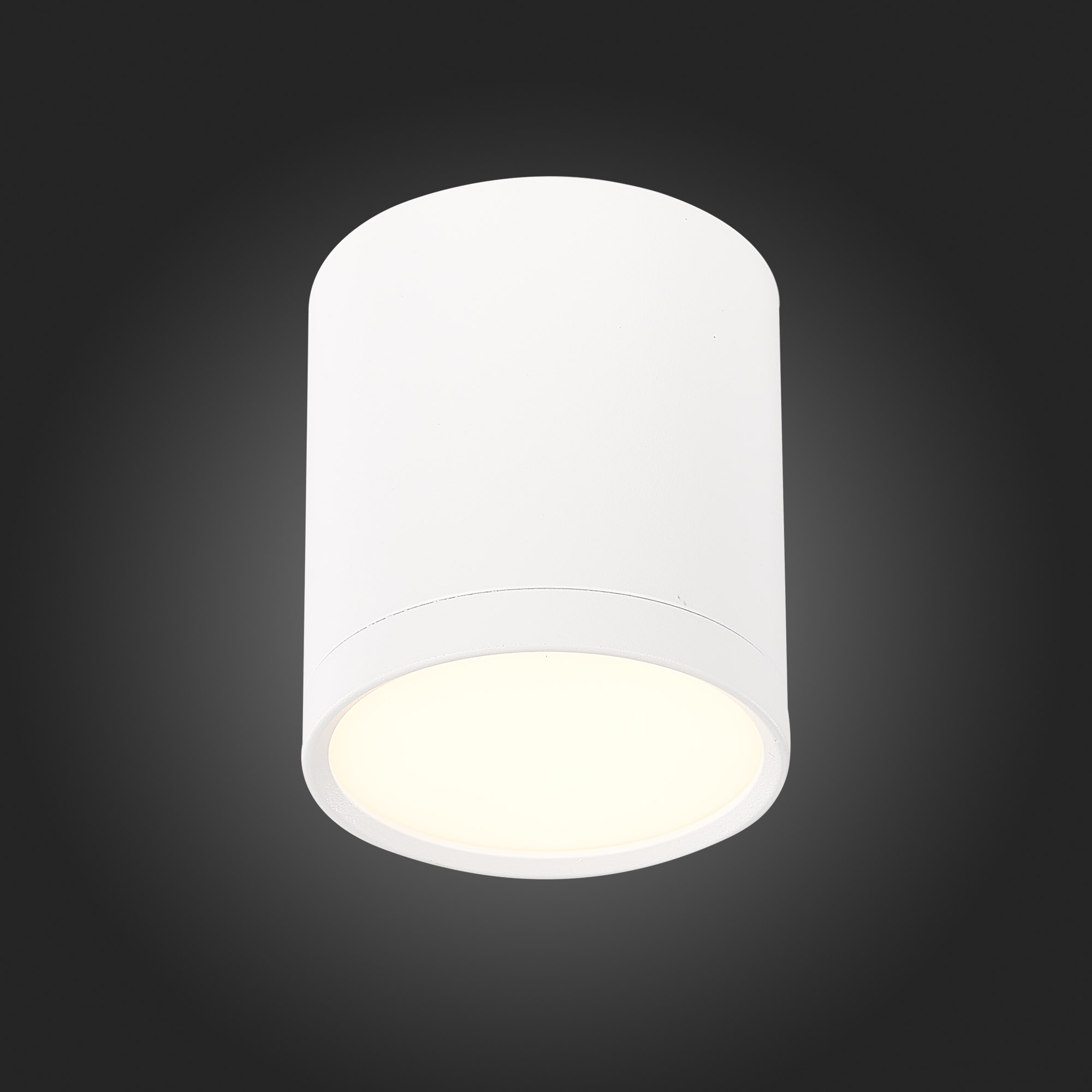 ST113.532.05 Светильник потолочный Белый LED 1*5W 3000K 390Lm Ra>90 120° IP20 D68xH75 170-240V Накладные светильники