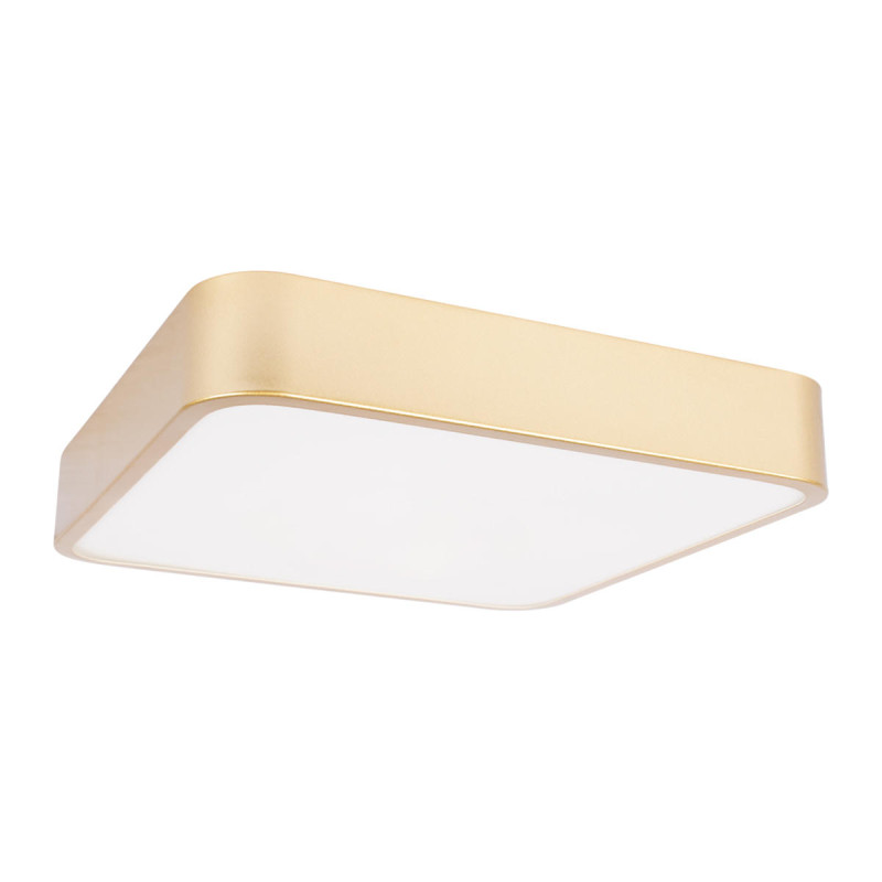 Накладной светильник LOFT IT 10228/C
