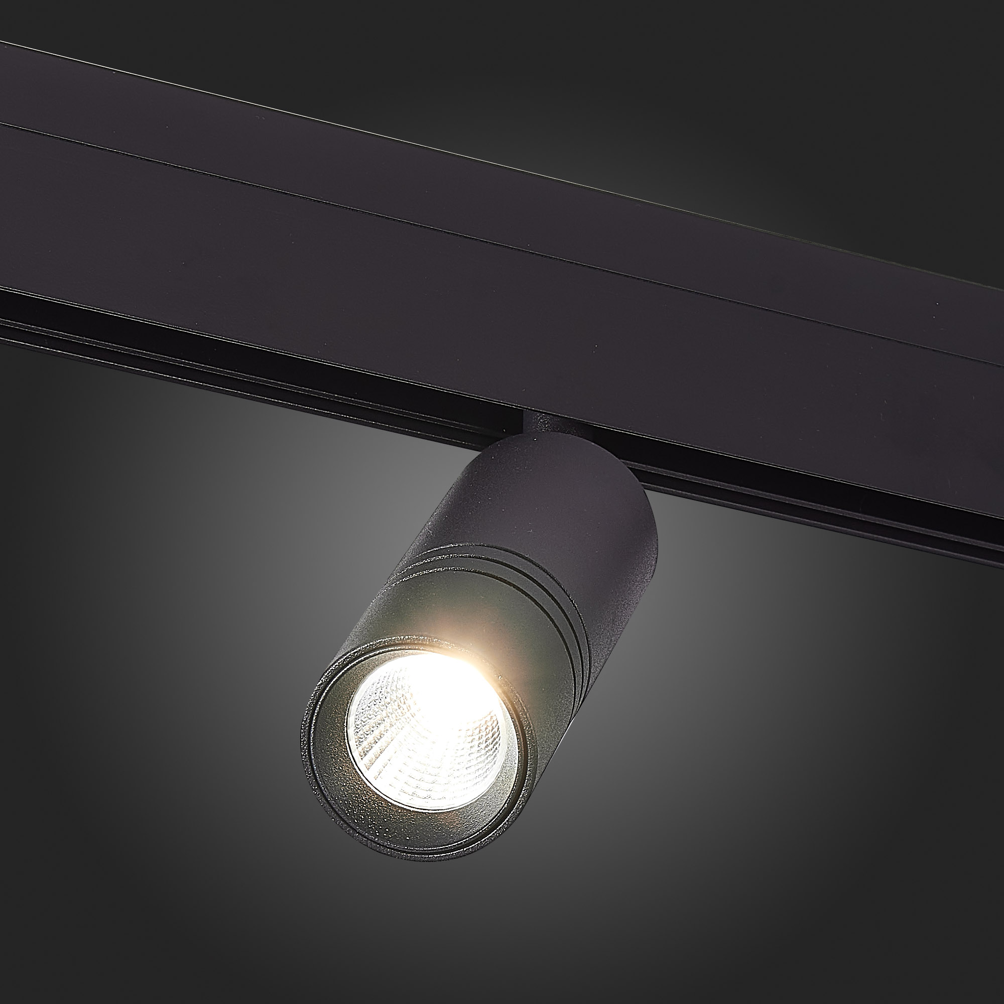 ST365.436.12 Магнитный трековый светильник Черный LED 1*12W 3000K 1 020Lm Ra>90 36° IP20 L-xW44xH130 SKYLINE 48