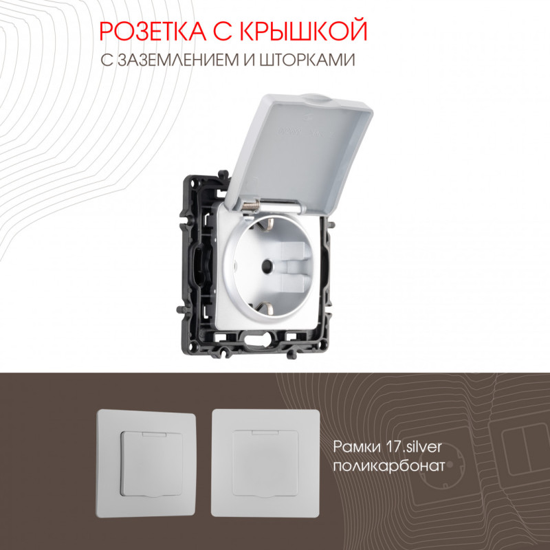 Розетка Arte Milano 217.41-1.silver