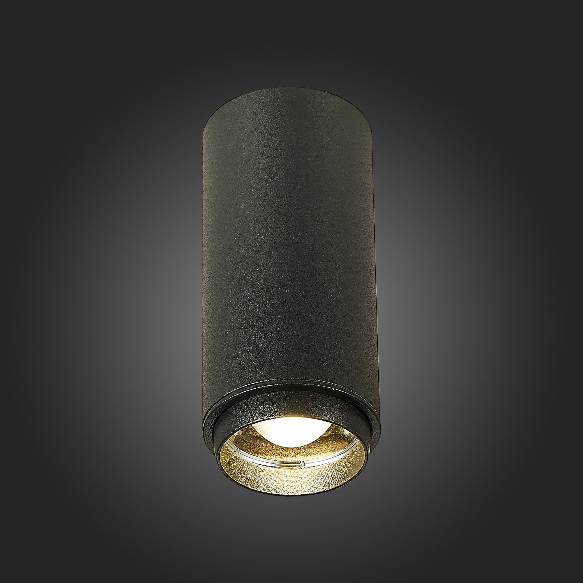 ST600.442.10 Светильник потолочный Zoom Черный LED 1*10W 4000K 1 000Lm Ra>80 15-60° IP20 D59xH130 17 Накладные светильники