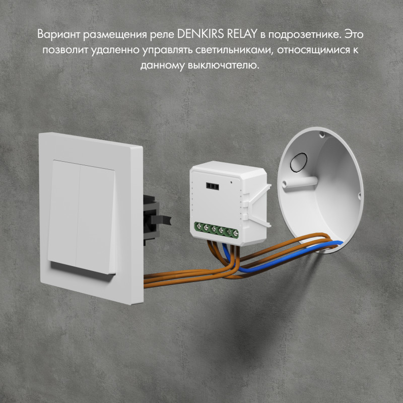Wi-Fi реле Denkirs RL1001-SM