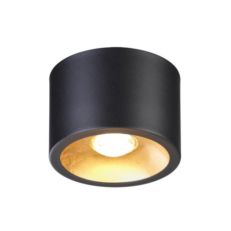 Накладной светильник Odeon Light 6669/1CL