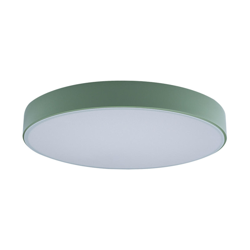 Потолочный детский светильник LOFT IT 10002/24 Green