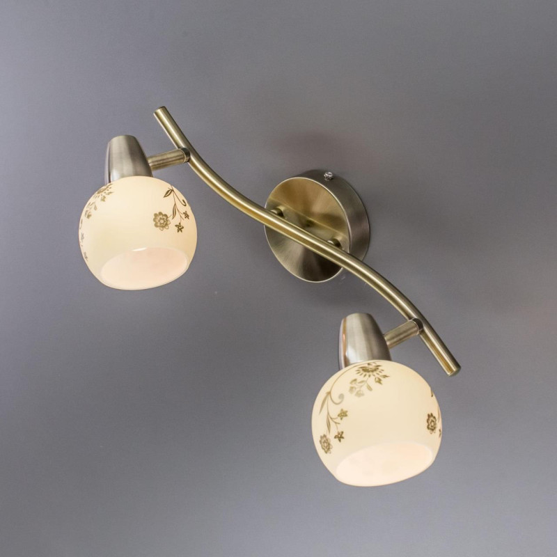 Спот Citilux CL520523