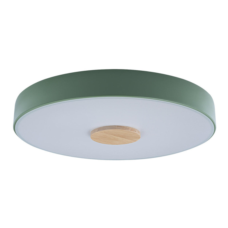 Потолочный детский светильник LOFT IT 10003/24 Green