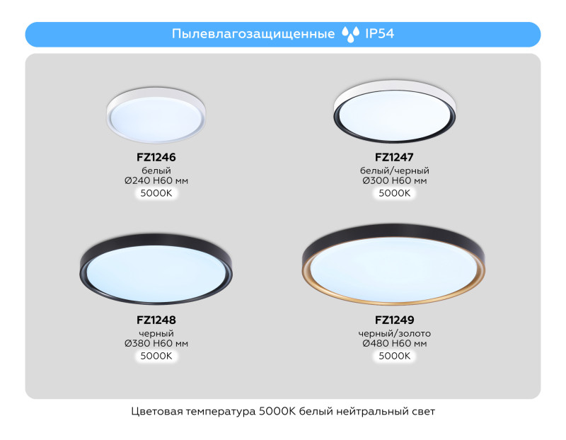 Накладной светильник Ambrella Light FZ1249