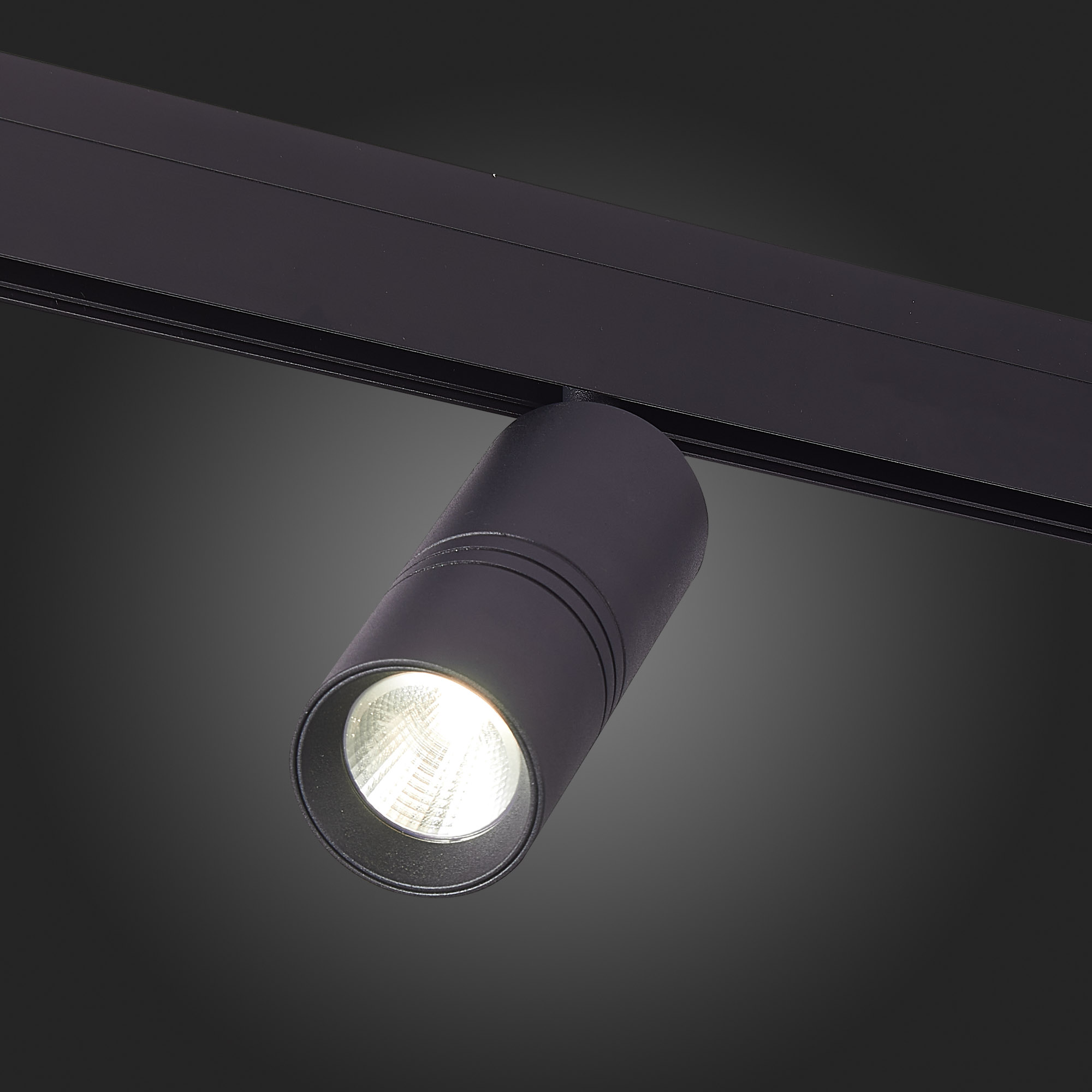 ST365.436.18 Магнитный трековый светильник Черный LED 1*18W 3000K 1 530Lm Ra>90 36° IP20 L-xW60xH148 SKYLINE 48