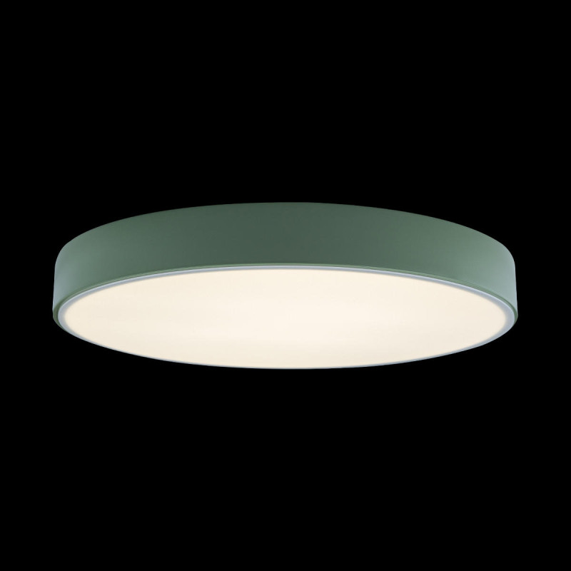 Потолочный детский светильник LOFT IT 10002/24 Green