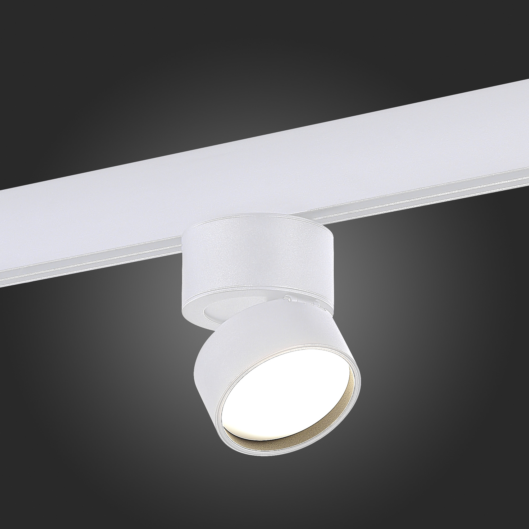 ST809.546.09 Магнитный трековый светильник Белый LED 1*9W 4000K 700Lm Ra>90 120° IP20 D85xH126 48V SKYLINE 48