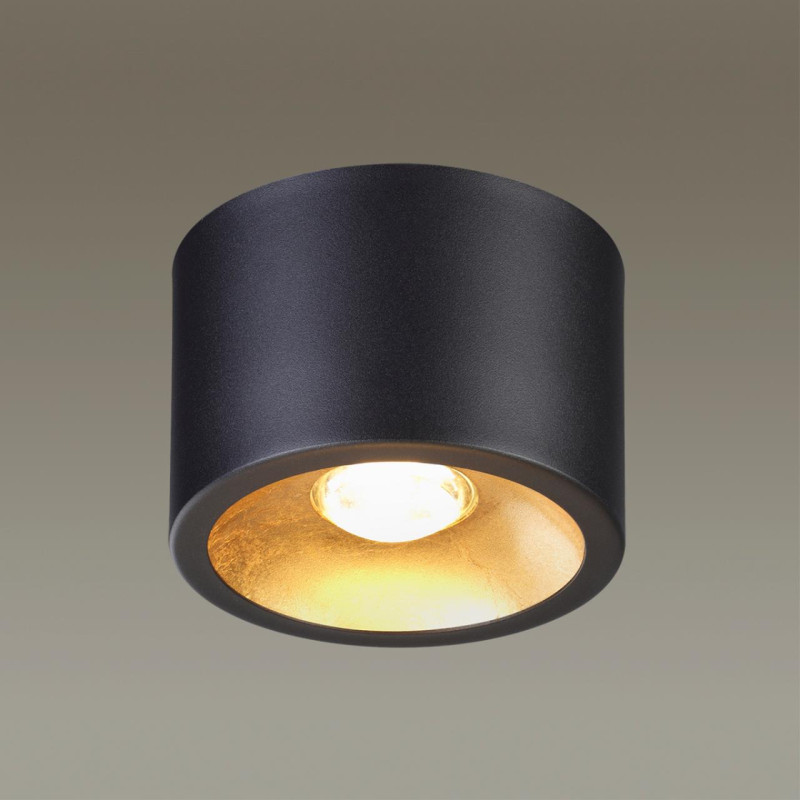 Накладной светильник Odeon Light 6669/1CL