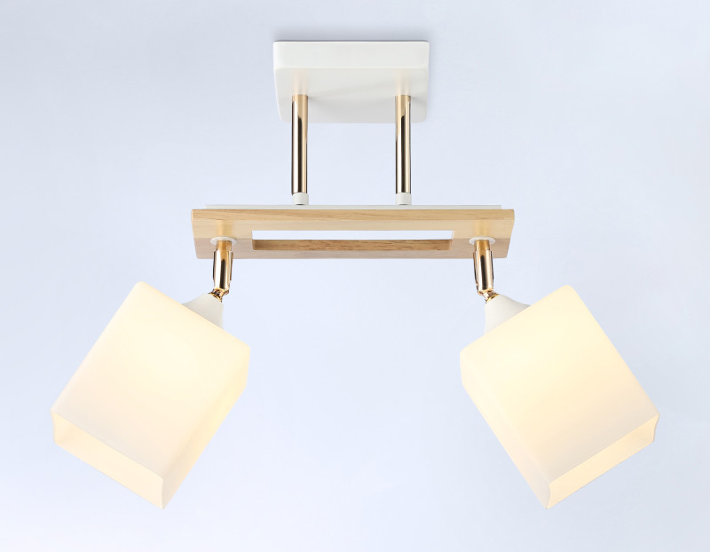 Накладной светильник Ambrella Light TR9501