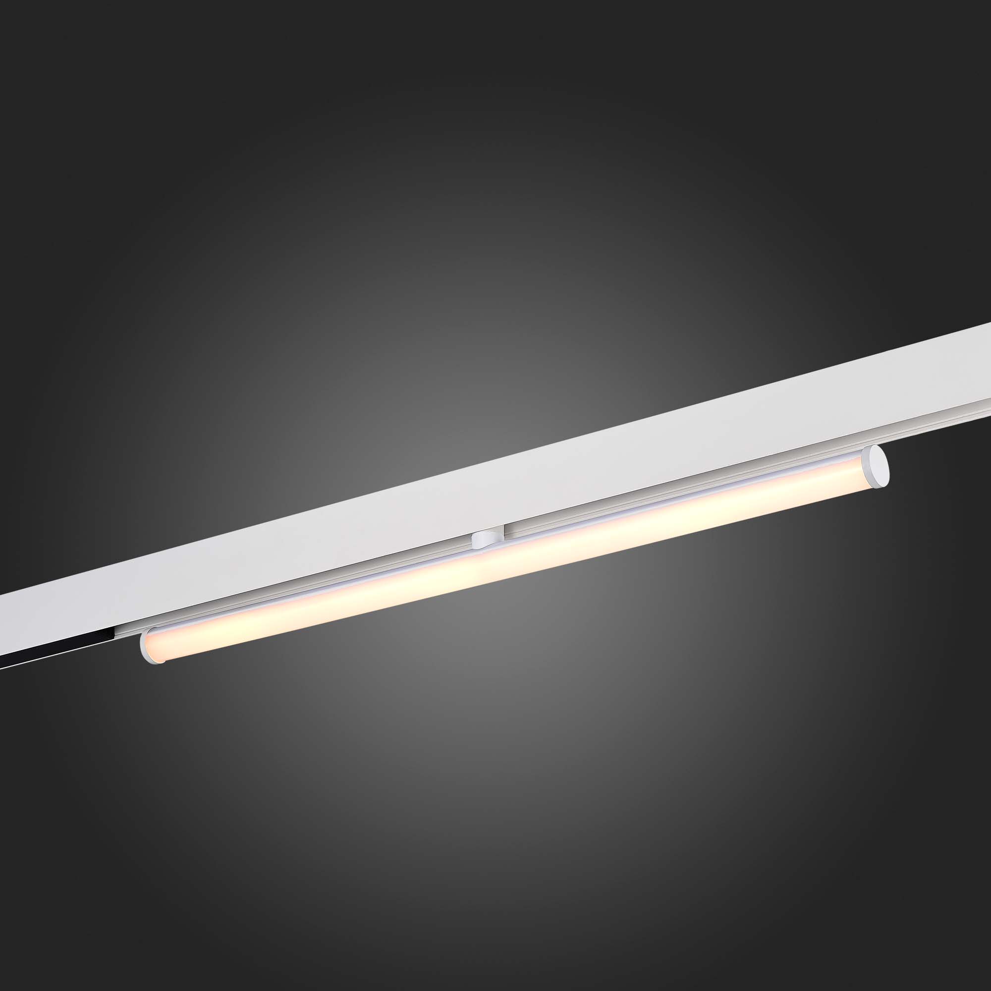 ST803.536.10 Магнитный трековый светильник Белый LED 1*10W 3000K 1 200Lm Ra>90 120° IP20 L604xW28xH8 SKYLINE 48