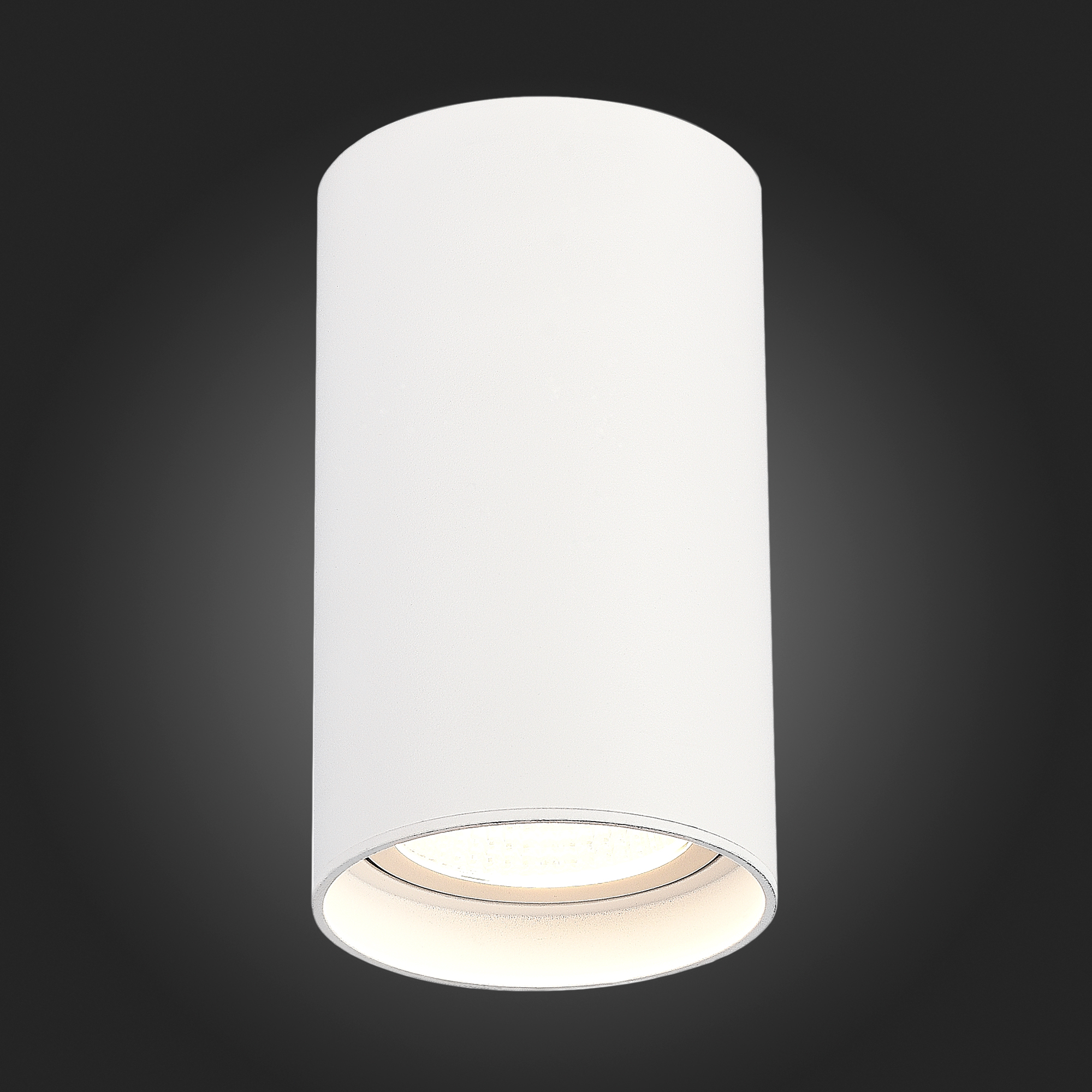 ST157.542.20 Светильник потолочный Белый LED 1*20W 4000K 1 600Lm Ra>90 60° IP44 D95xH150 220-265V Накладные светильники