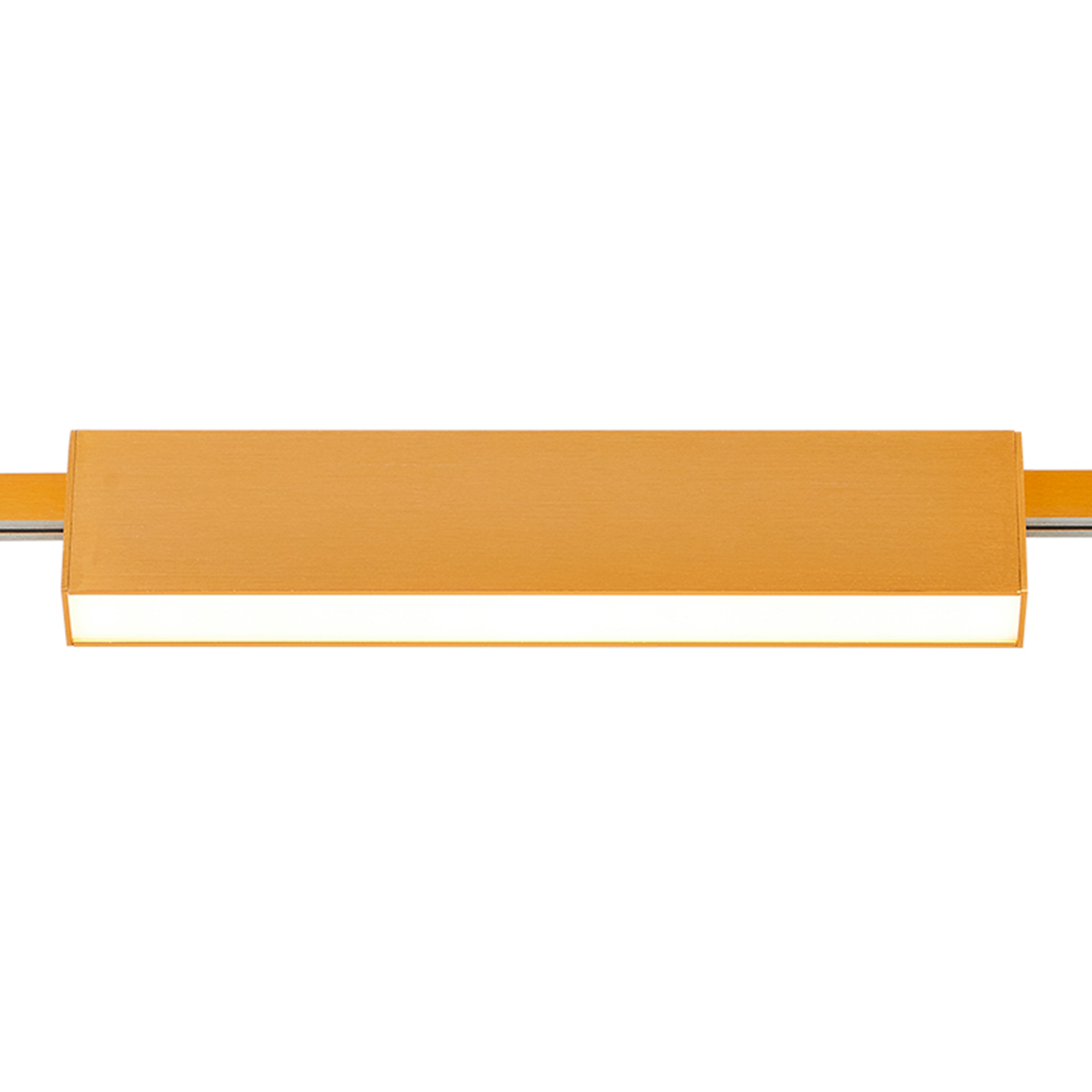 ST817.206.12 Магнитный трековый светильник FARM Золотистый LED 1*12W 3000K 580Lm Ra90 120 IP20 L232x FARM