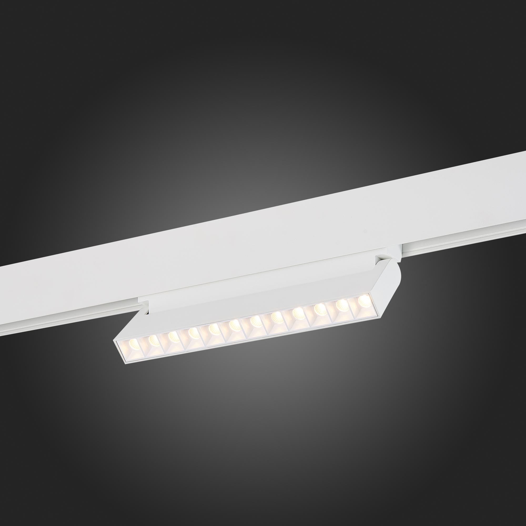 ST364.536.12 Магнитный трековый светильник белый LED 1*12W 3000K 1 009Lm Ra>80 36° IP20 L219xW22xH10 SKYLINE 48