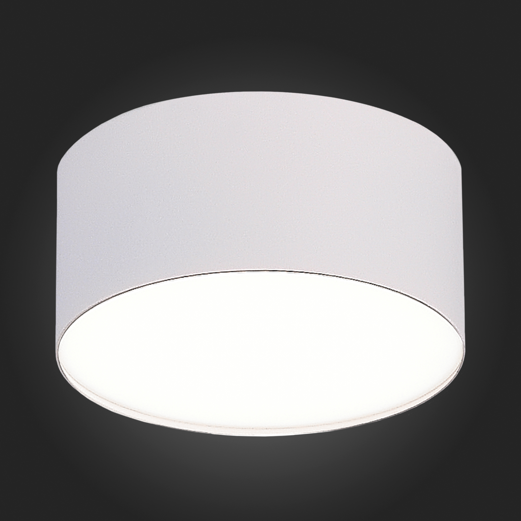 ST606.542.12 Светильник потолочный Белый LED 1*12W 4000K 1 080Lm Ra>90 120° IP20 D120xH55 185-265V Накладные светильники