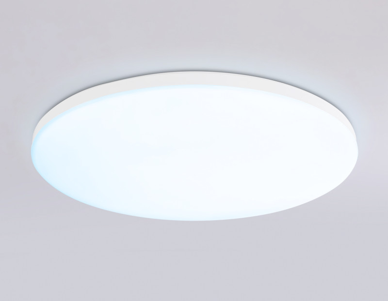 Накладной светильник Ambrella Light FZ2002