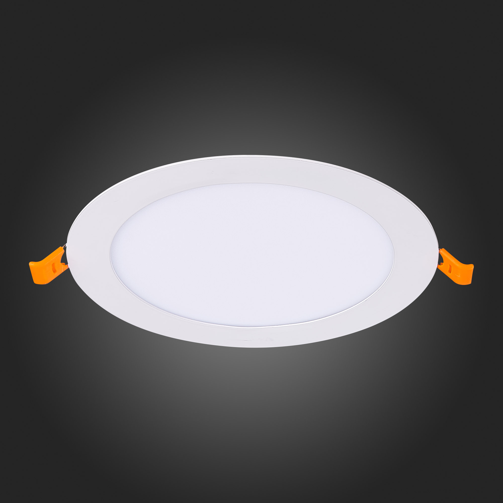 ST209.538.12 Св-к встр. Белый LED 1*12W 3000K 816Lm Ra80 110° IP20 D170xH8 90-265V Встраиваемые светильники