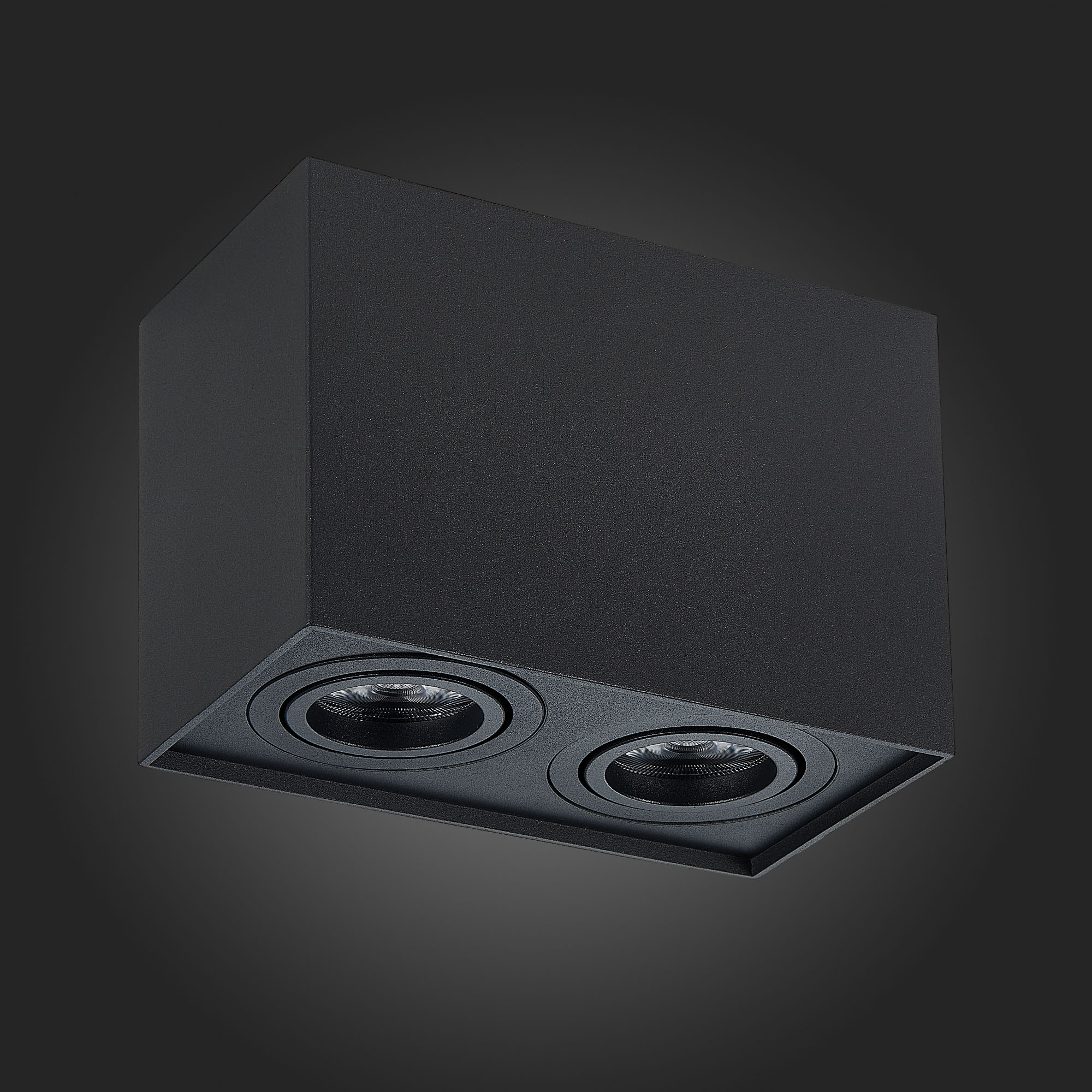 ST109.407.02 Светильник потолочный Черный GU10 2*50W  L181xW100xH123 220V Без ламп Накладные светильники
