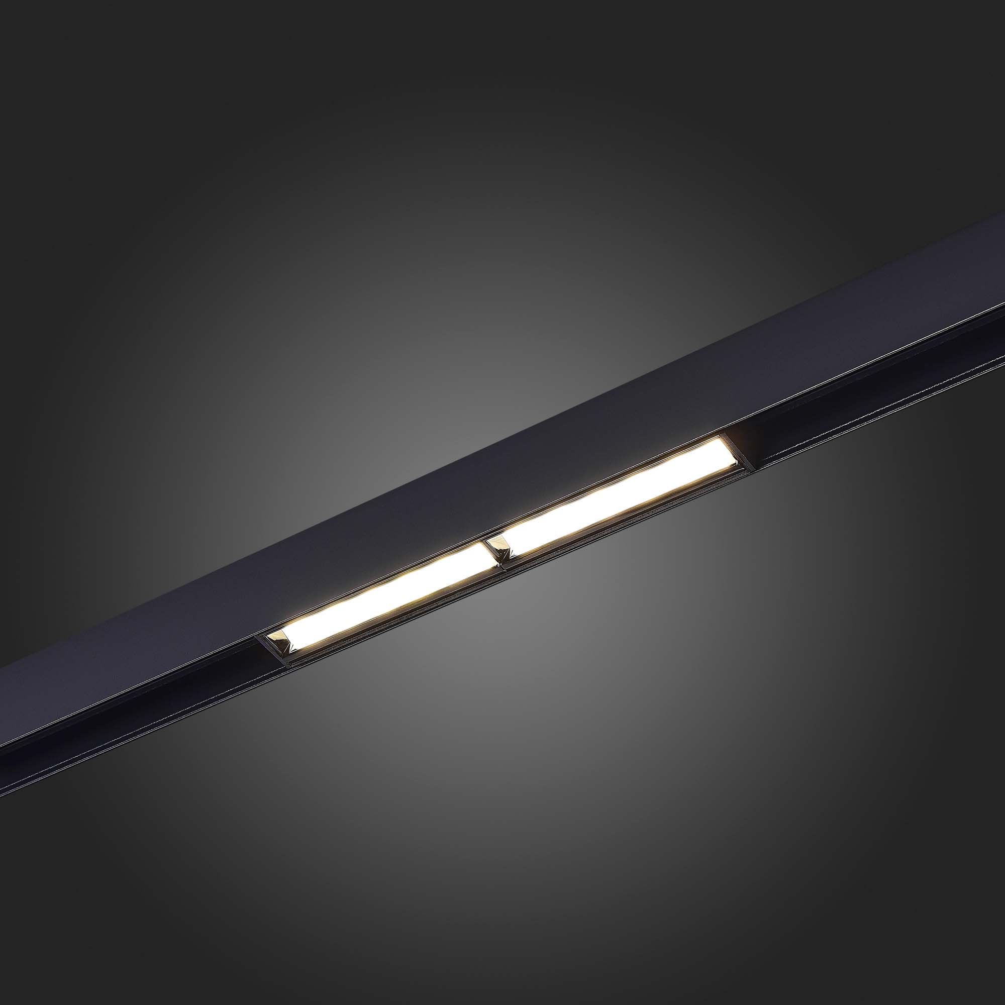 ST804.446.12 Магнитный трековый светильник Черный LED 1*12W 4000K 750Lm Ra>90 120° IP20 L220xW22xH46 SKYLINE 48