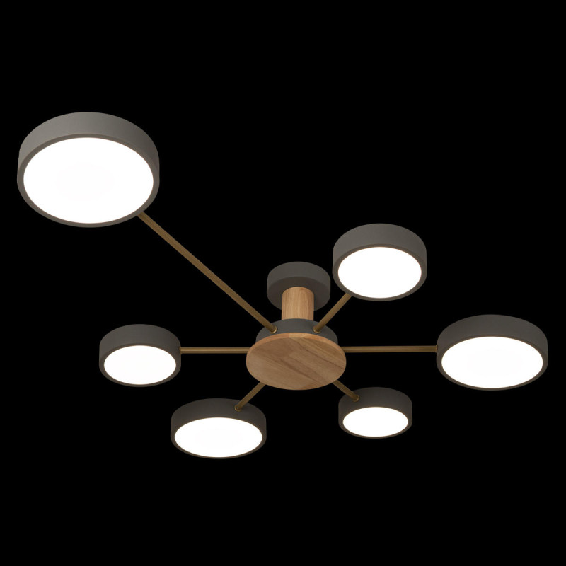 Накладной светильник LOFT IT 10316/6 Grey