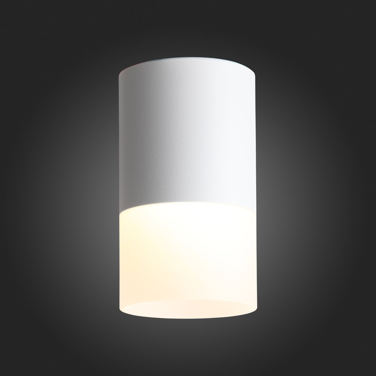ST100.502.10 Светильник потолочный Белый LED 1*10W 3000K 780Lm Ra>80 120° D78xH135 170-240V Накладные светильники