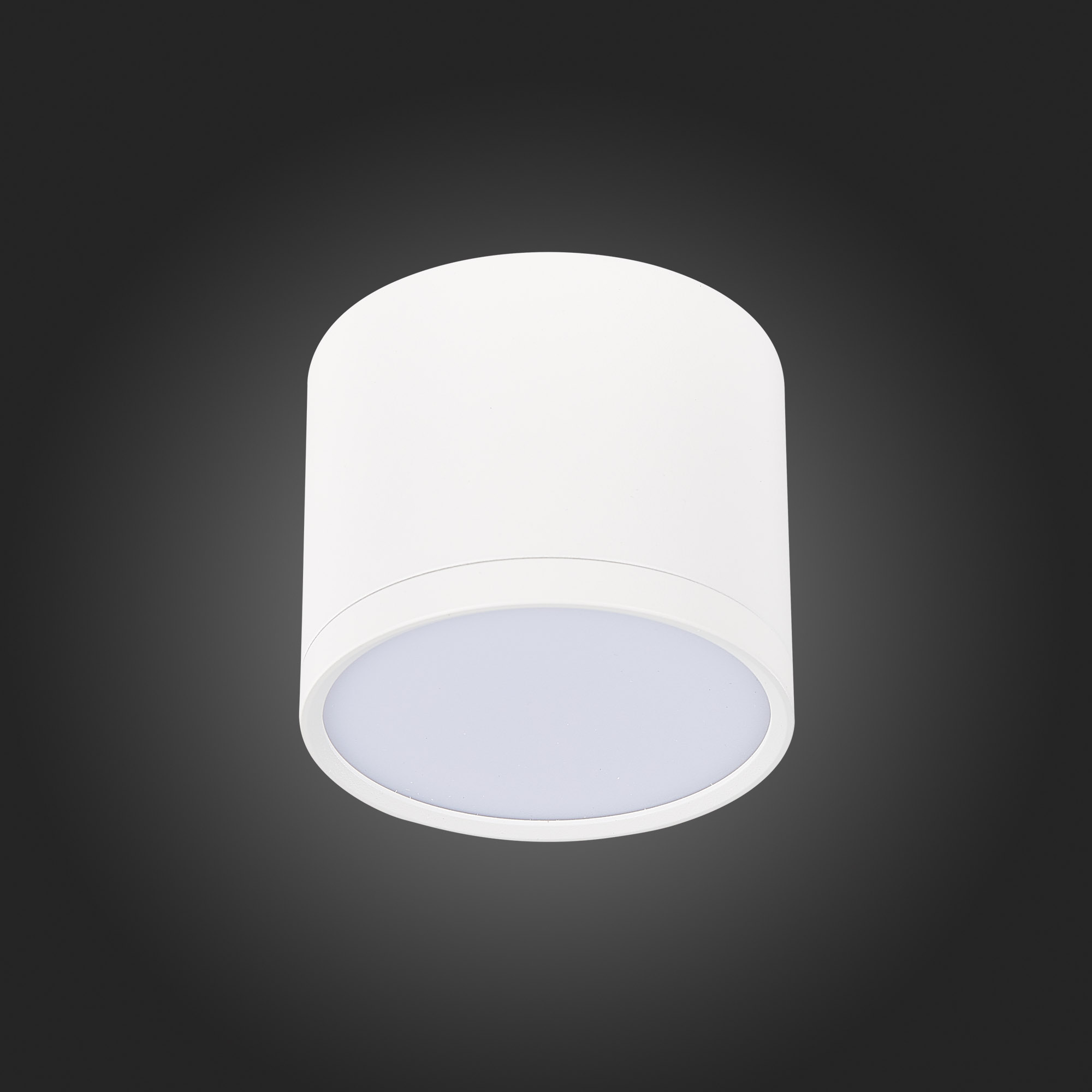 ST113.532.09 Светильник потолочный Белый LED 1*9W 3000K 702Lm Ra>90 120° IP20 D88xH75 170-240V Накладные светильники
