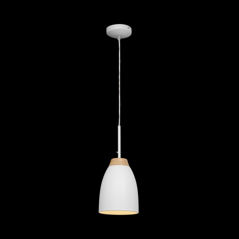 Подвесной светильник LOFT IT LOFT4402A-WH