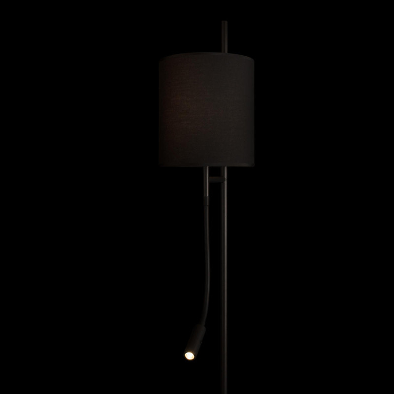 Торшер LOFT IT 10253F/B Black