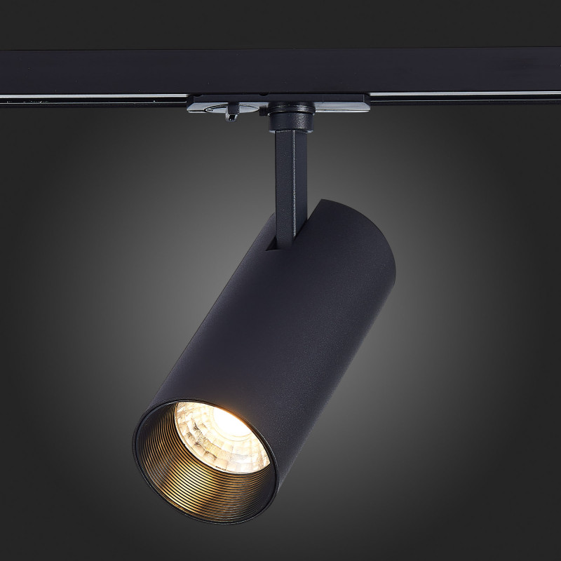 Светильник на шине ST-Luce ST350.446.20.24