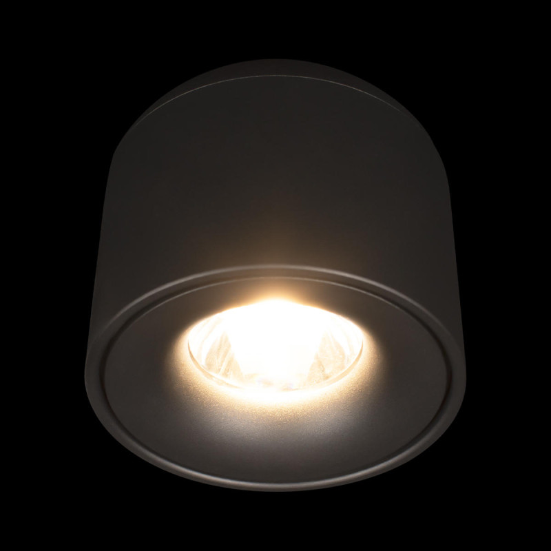 Накладной светильник LOFT IT 10219 Black 3000K