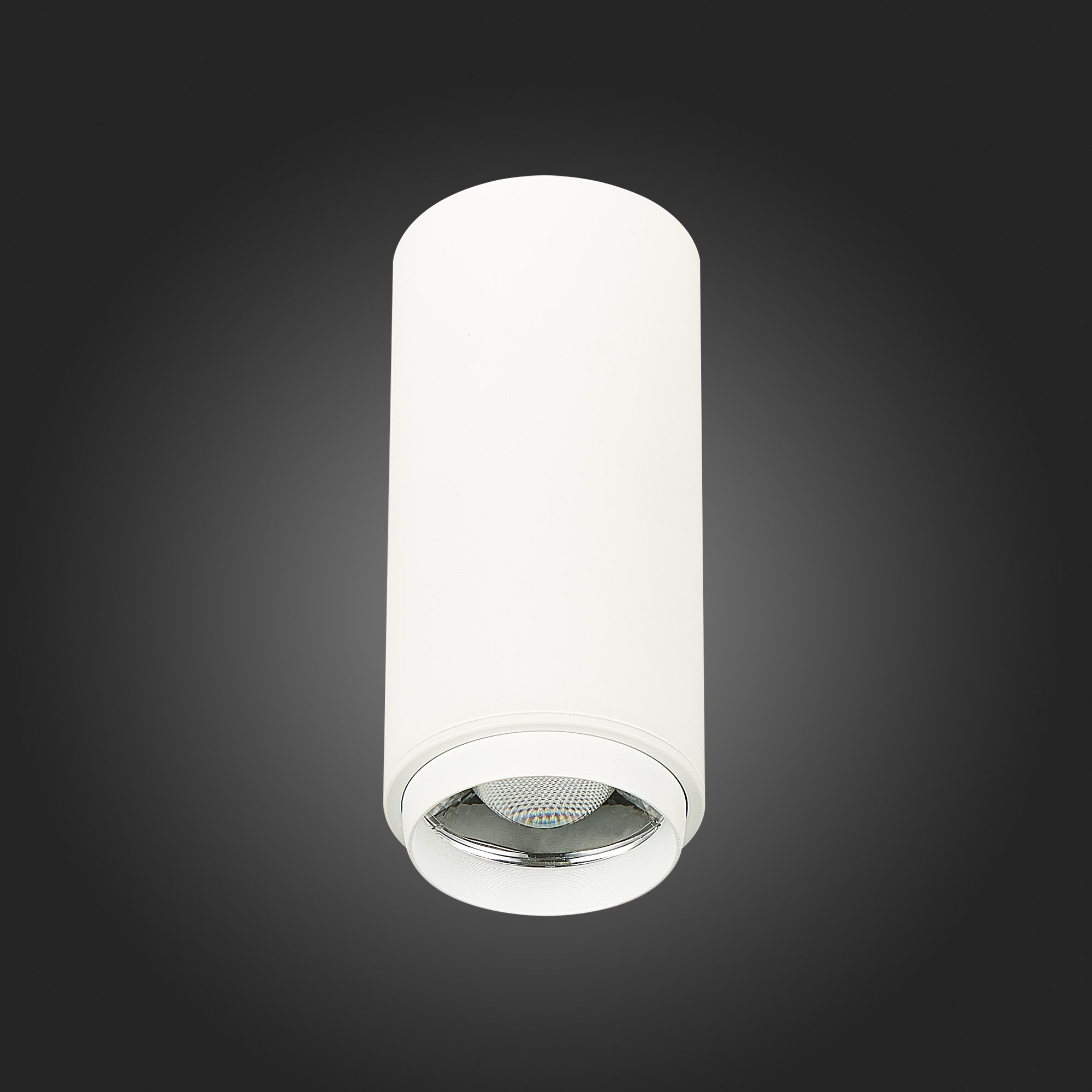 ST600.532.10 Светильник потолочный Zoom Белый LED 1*10W 3000K 1 000Lm Ra>80 15-60° IP20 D59xH130 170 Накладные светильники
