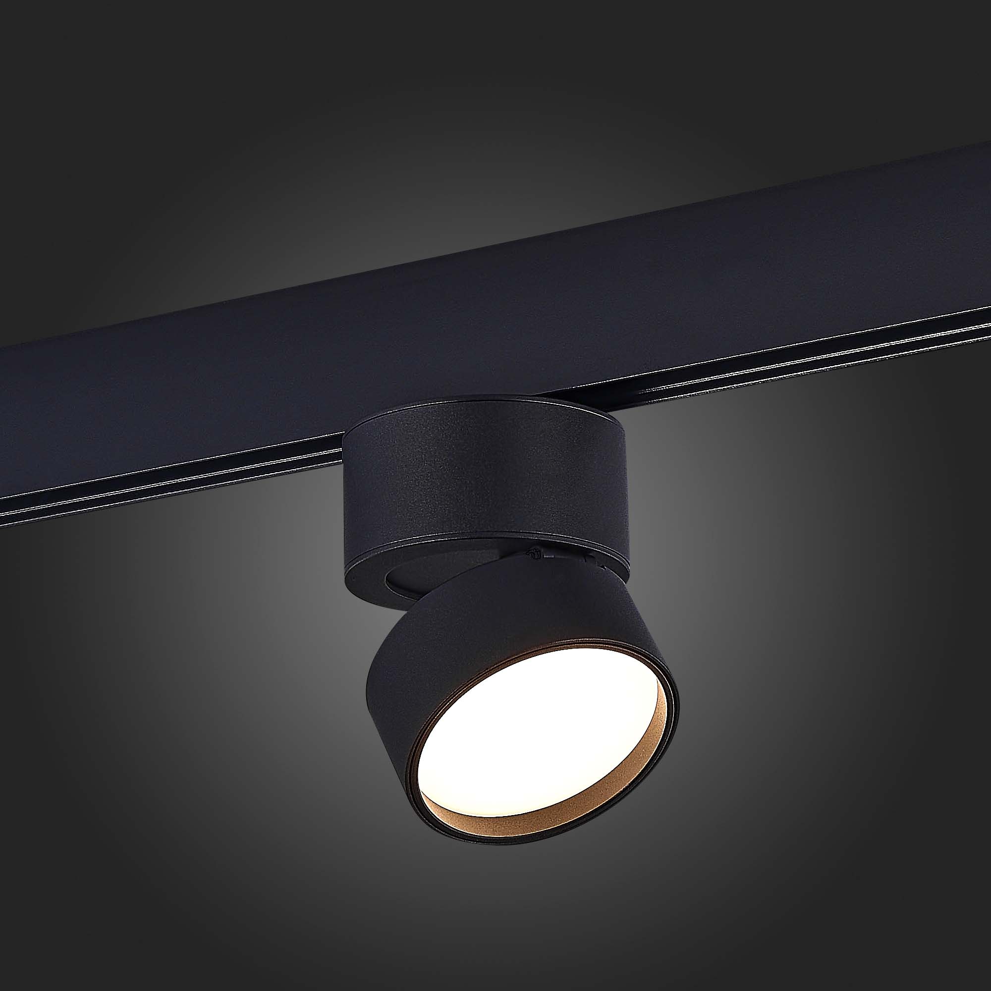 ST809.436.09 Магнитный трековый светильник Черный LED 1*9W 3000K 500Lm Ra>90 120° IP20 D85xH126 48V SKYLINE 48